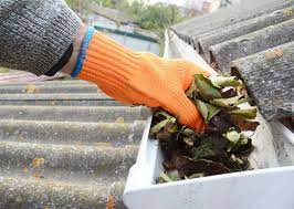 gutter-cleaning